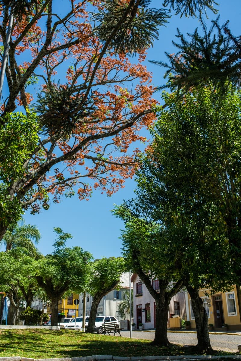 Foto de capa da Centro Histórico