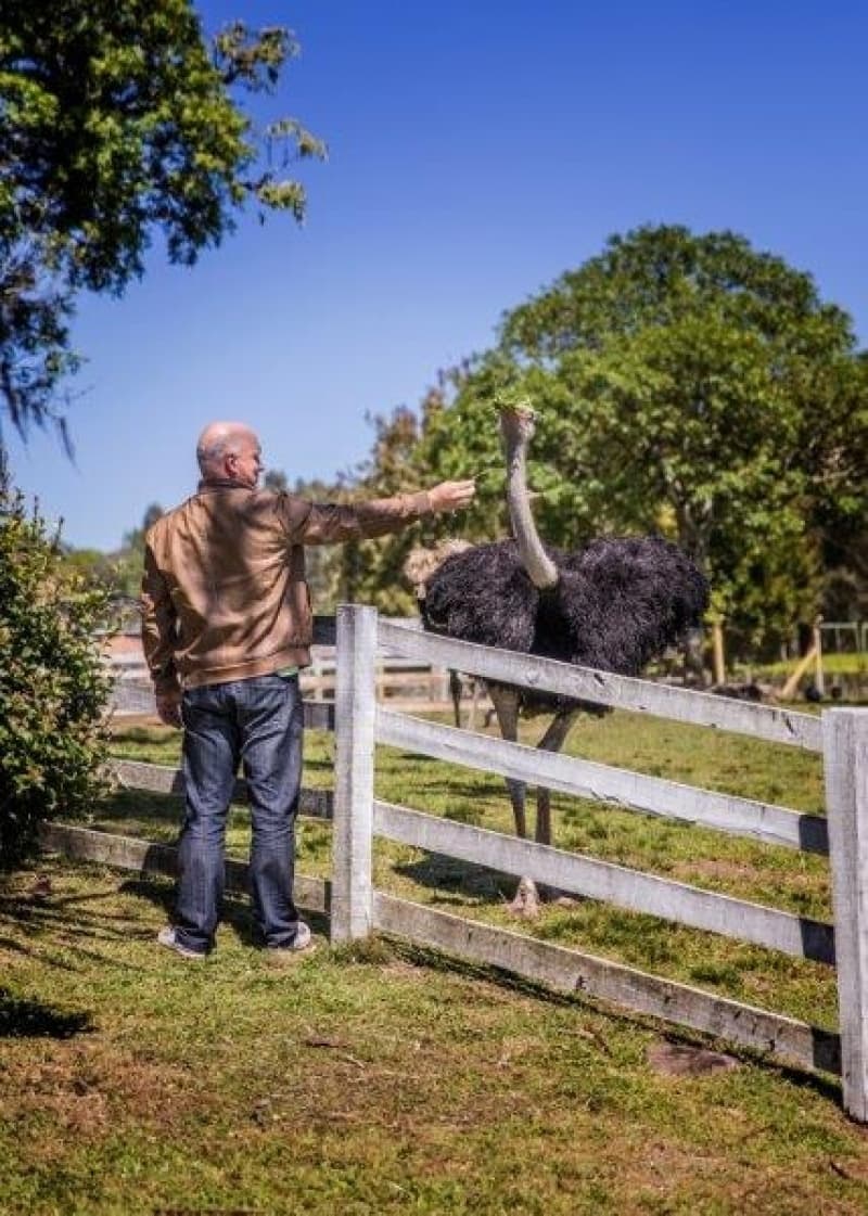 Foto de capa da Canto do Encantador