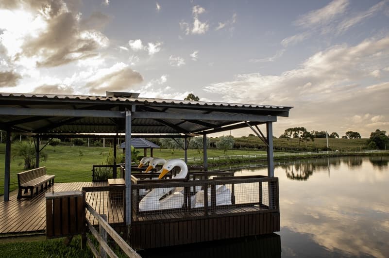 Foto de capa da Rincón del Encantador