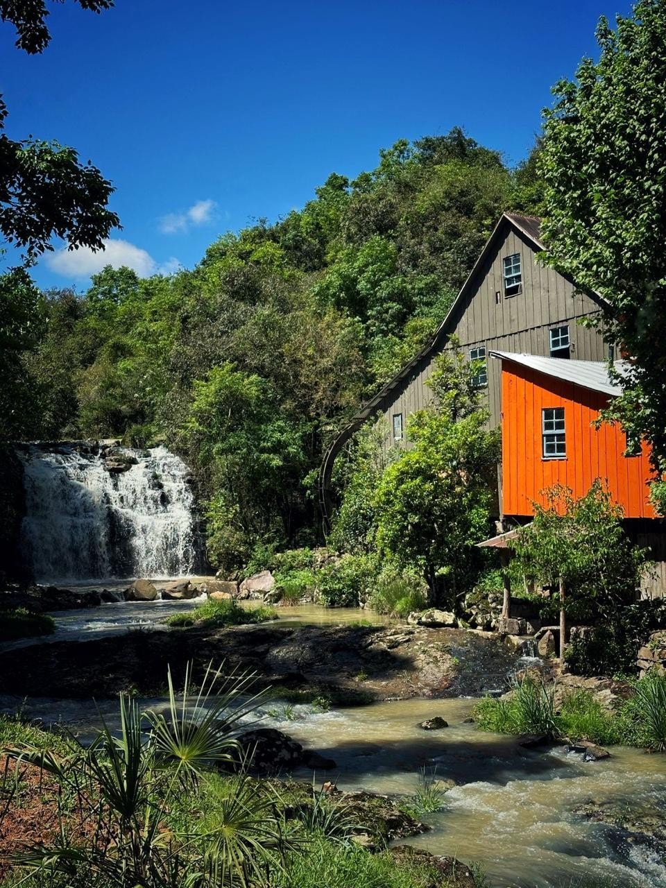 Inauguração do Moinho Colonial Ghinzelli
