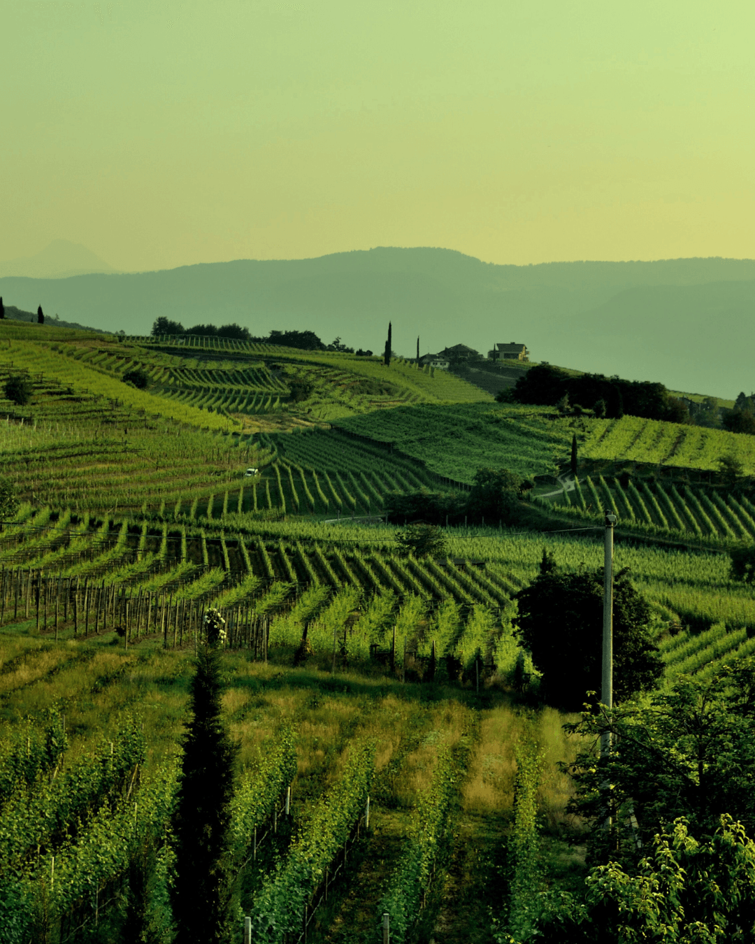 Programa de Turismo Rural está com inscrições abertas em Antônio Prado